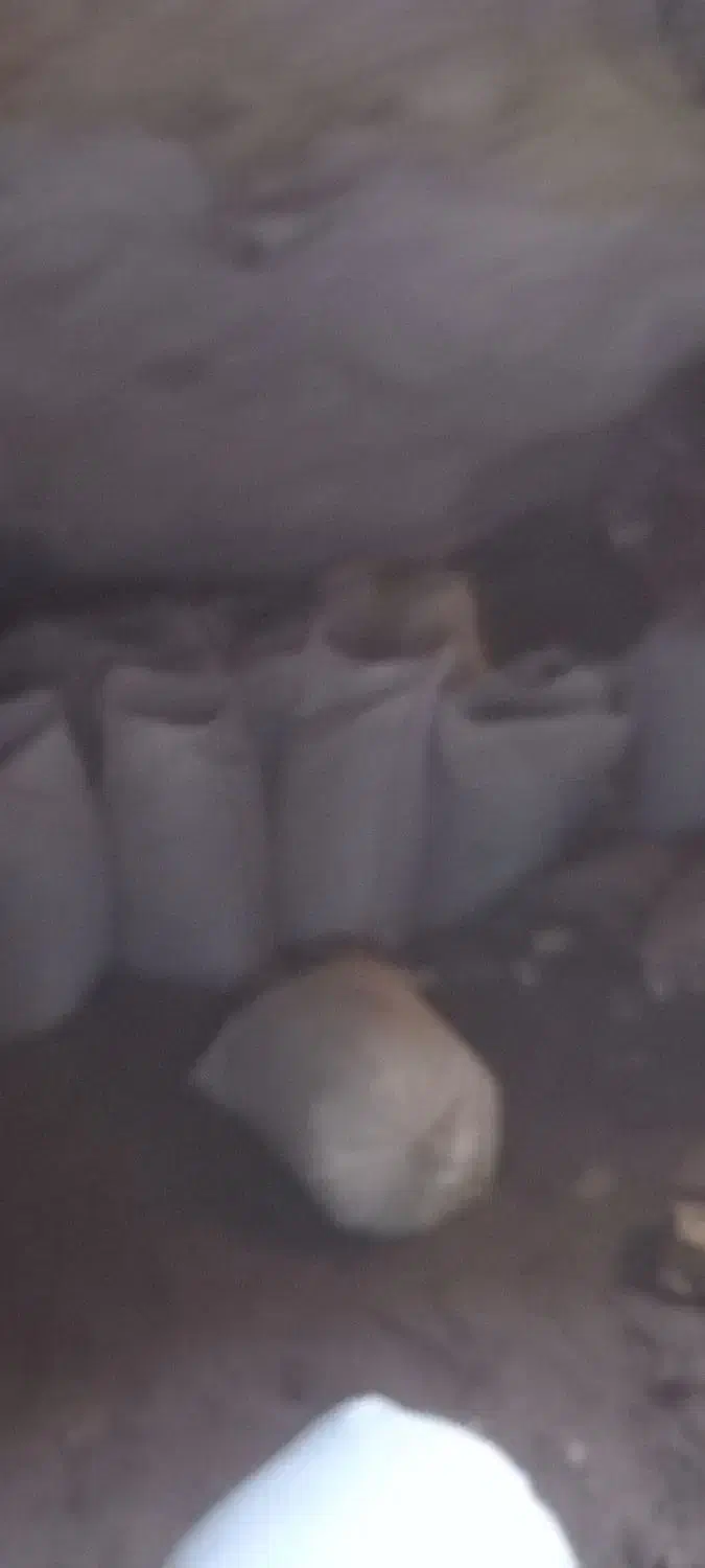 فروشی یک تن کود خفاش|عمده‌فروشی|مشگین شهر, |دیوار