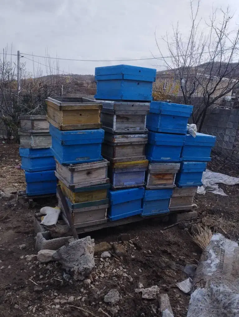 کندو زنبور عسل|لوازم جانبی حیوانات|گهواره, |دیوار