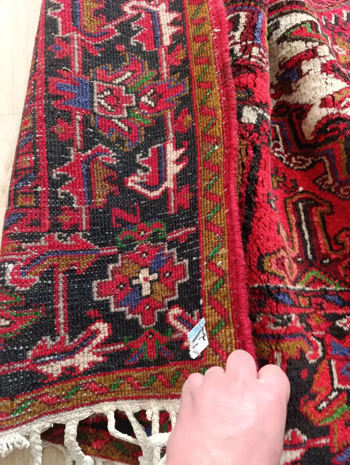 فرش دست بافت|فرش|سهند, |دیوار