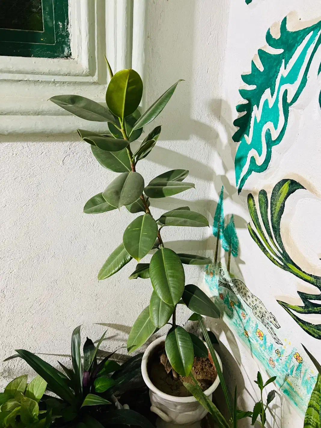 گل وگلدان|گل و گیاه طبیعی|فیروزآباد (فارس), |دیوار