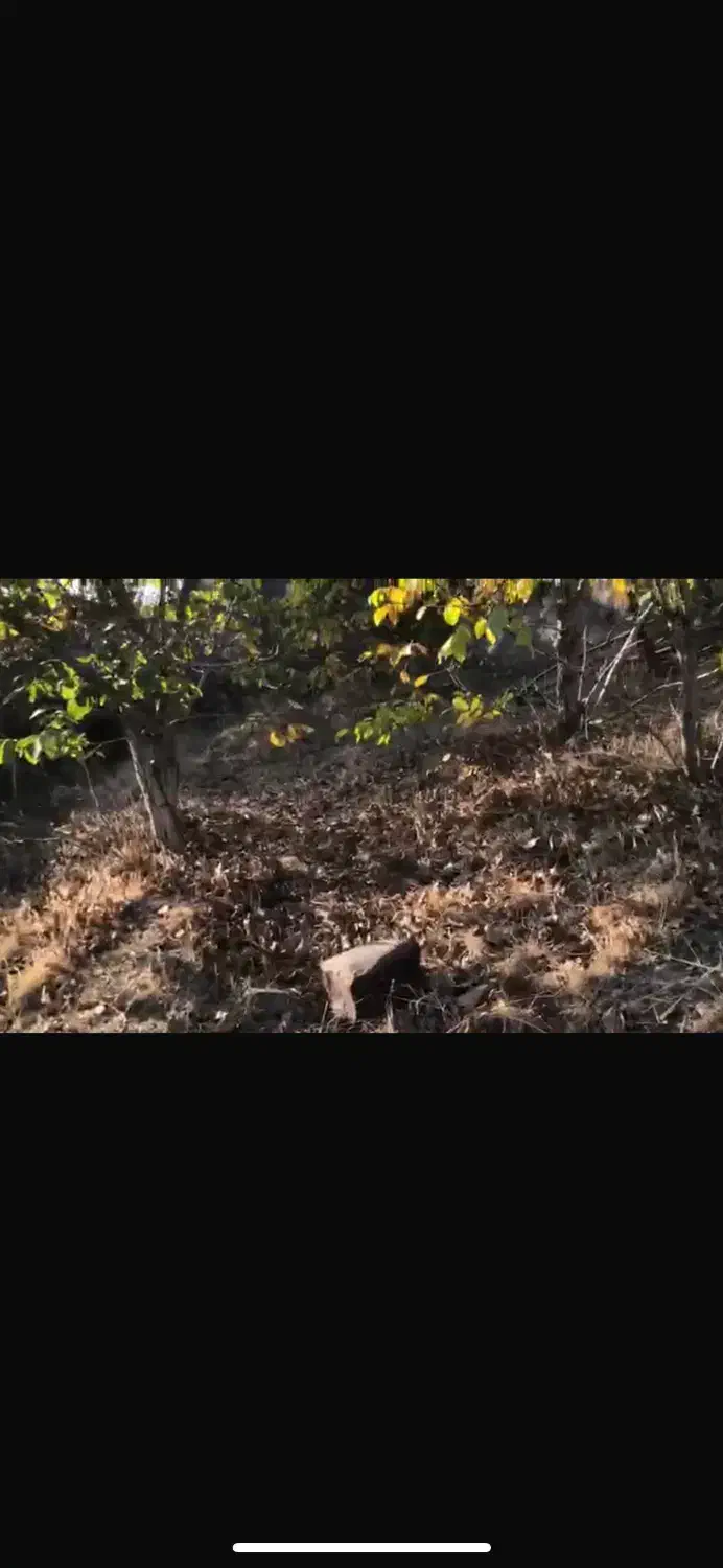 فروش زمین املاک اسپرس خانم میرزایی|فروش زمین و ملک کلنگی|فشم, |دیوار