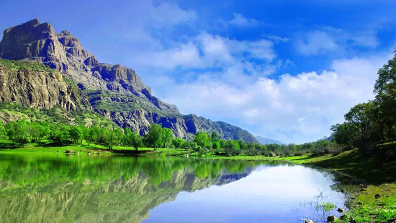 رویداد|گردهمایی و همایش|مشهد, شاهد (شهرک غرب)|دیوار