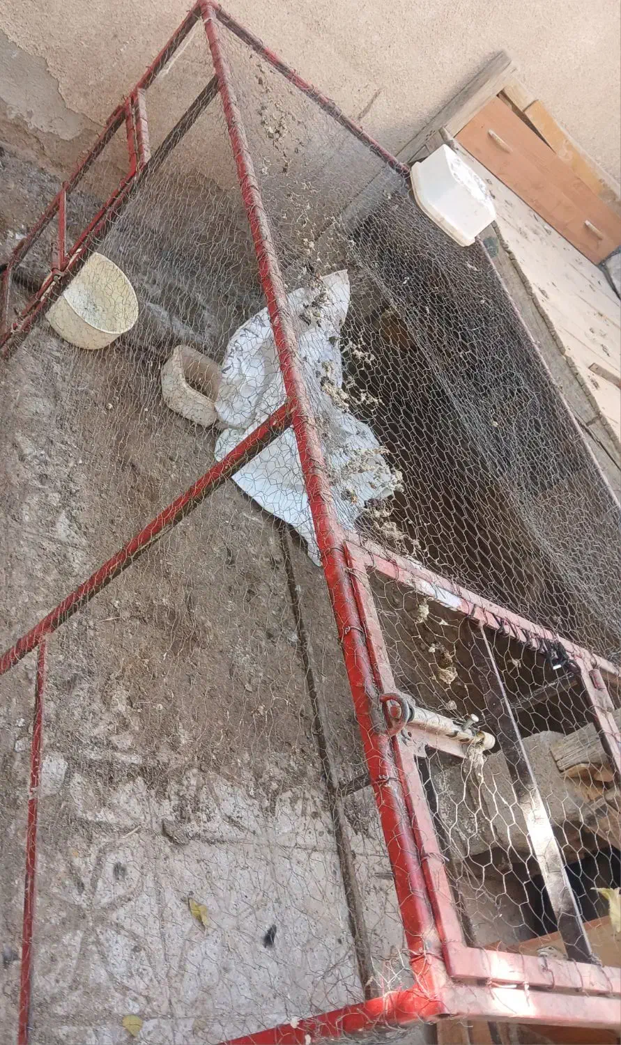 قفس آهنی|لوازم جانبی حیوانات|فردوس (خراسان), |دیوار