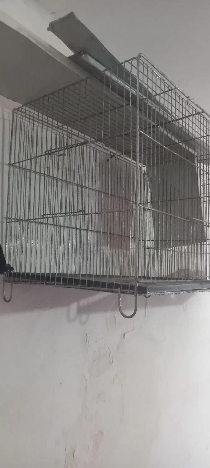 قفس پرنده|لوازم جانبی حیوانات|بروجرد, |دیوار