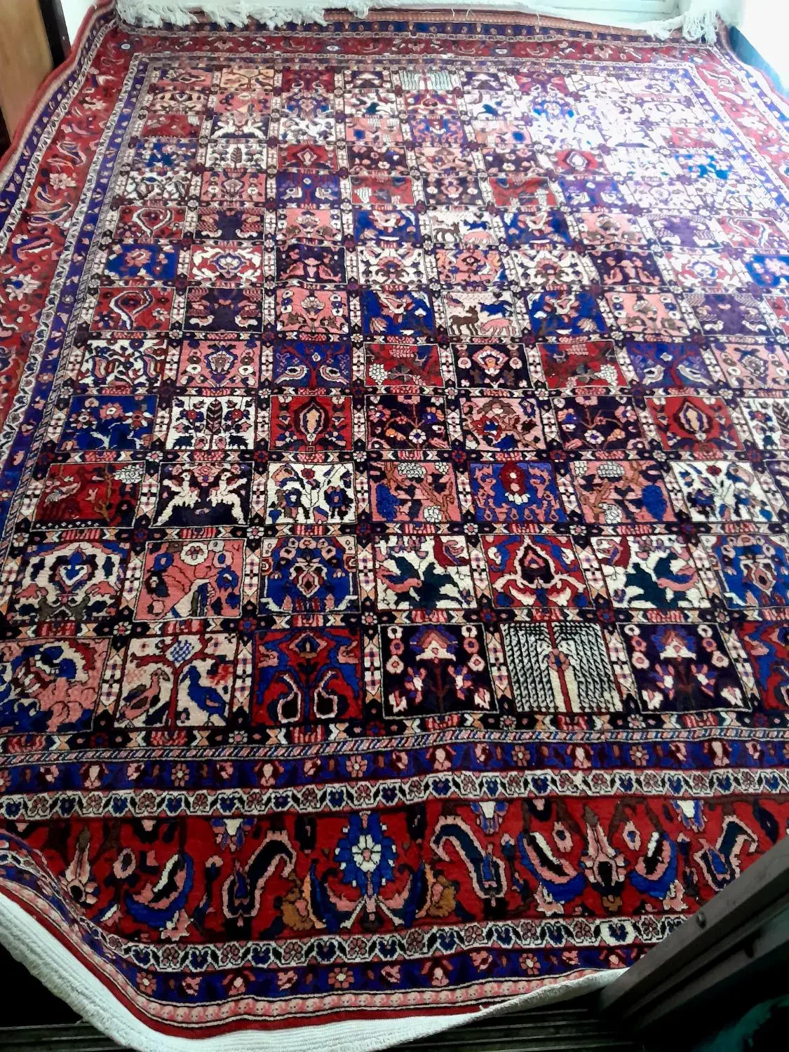 یک عدد فرش دستباف دوازده متری چالشتری|فرش|شهرکرد, |دیوار