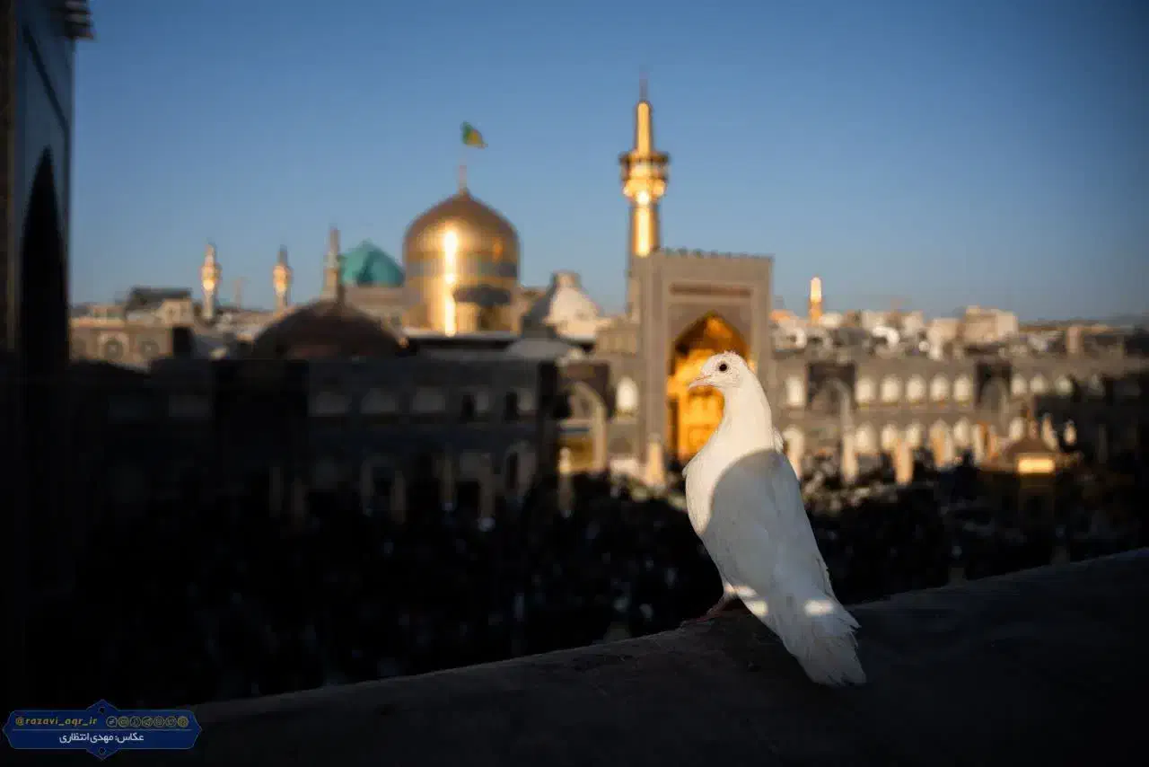 تور مسافرتی مشهد|تور و چارتر|قزوین, |دیوار