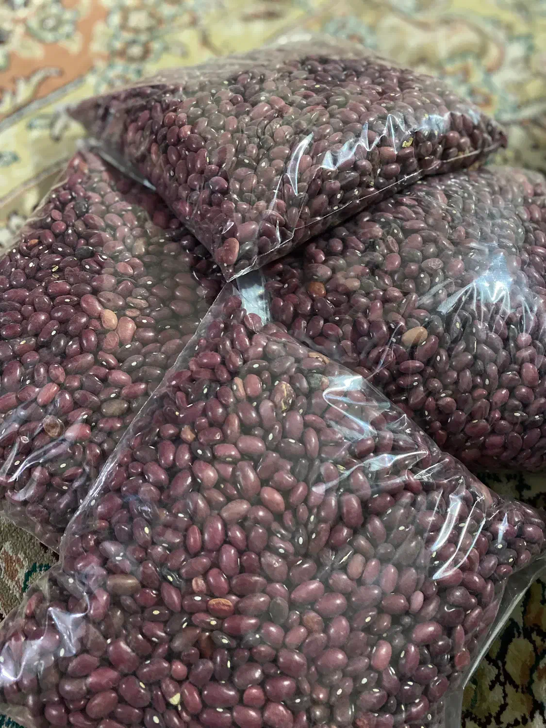 لوبیا قرمز|خوردنی و آشامیدنی|مشهد, موسوی قوچانی|دیوار