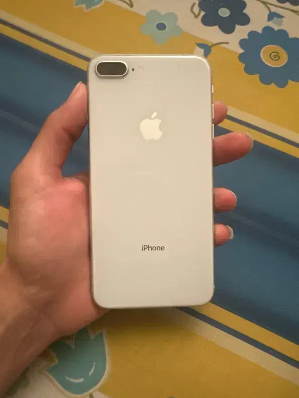 8plus 256g|موبایل|هشتگرد, قاسم آباد بزرگ|دیوار