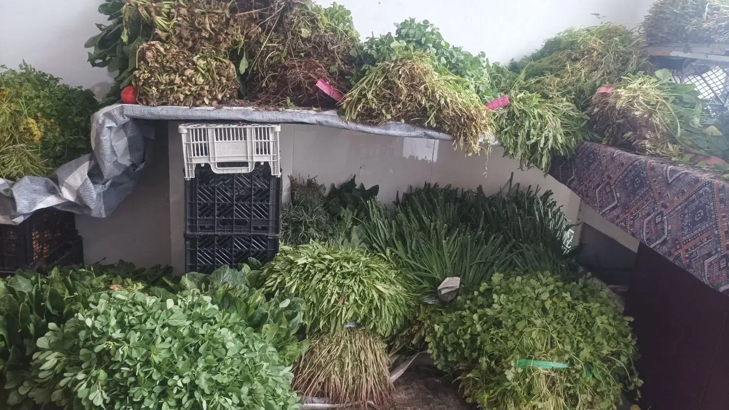 سبزی فروشی|حراج|تالش, هشتپر|دیوار