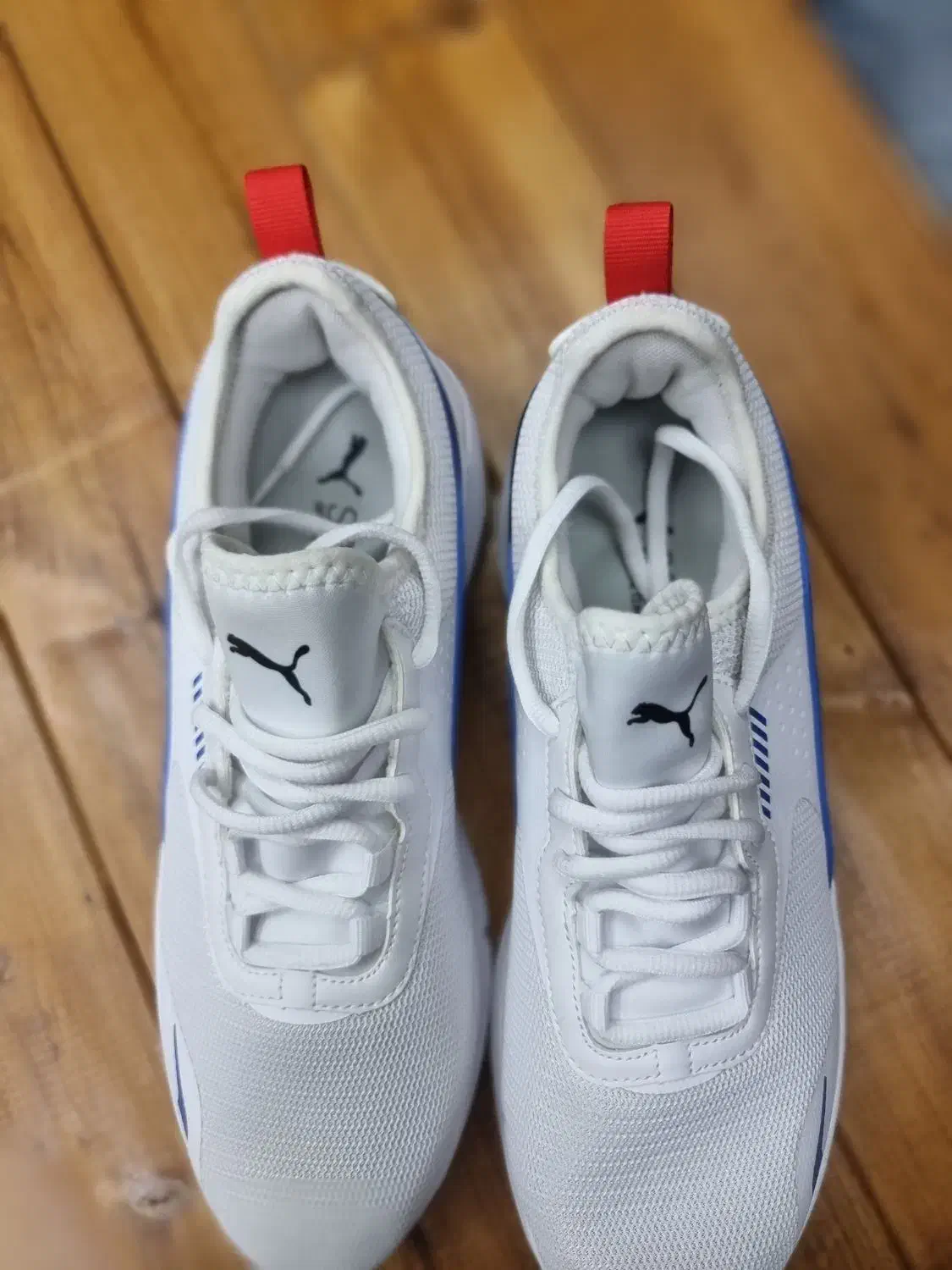 کتونی اسنیکر اورجینال پوما|کیف، کفش، کمربند|تهران, دروازه شمیران|دیوار