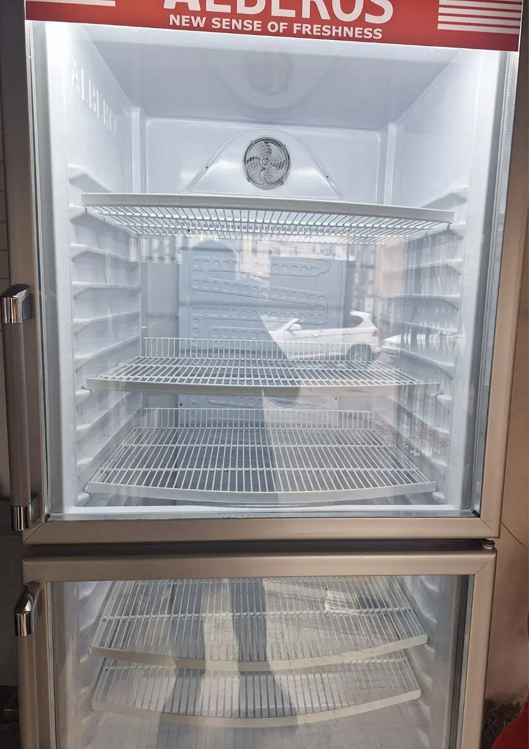 یخچال|فروشگاه و مغازه|رشت, کاکتوس|دیوار