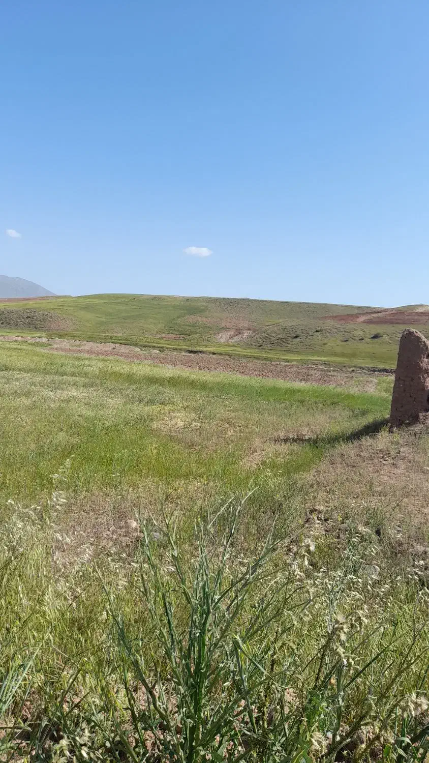 ۲هکتار زمین زراعی مرغوب|فروش دفتر صنعتی، کشاورزی، تجاری|فیروز, |دیوار