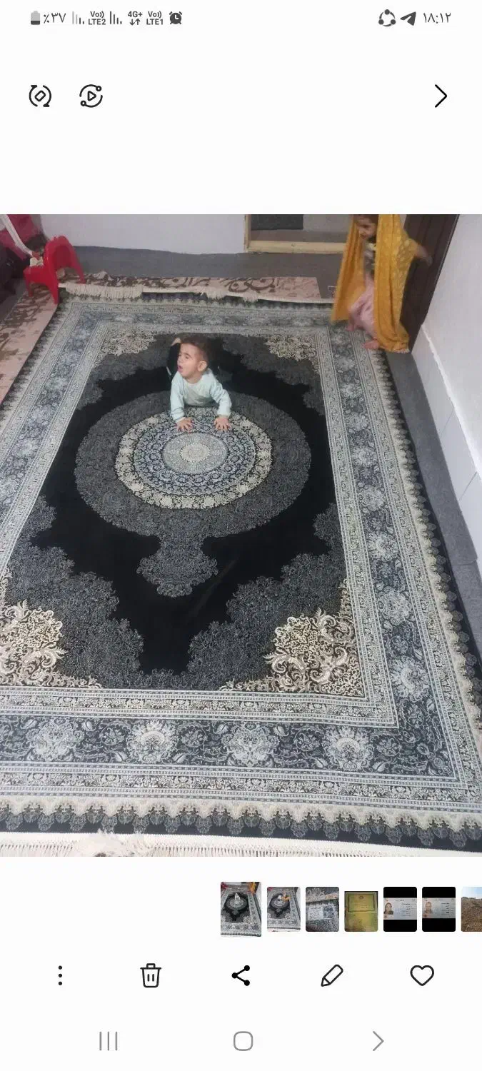 فرش ۱۲۰شانه|فرش|بهارستان, |دیوار