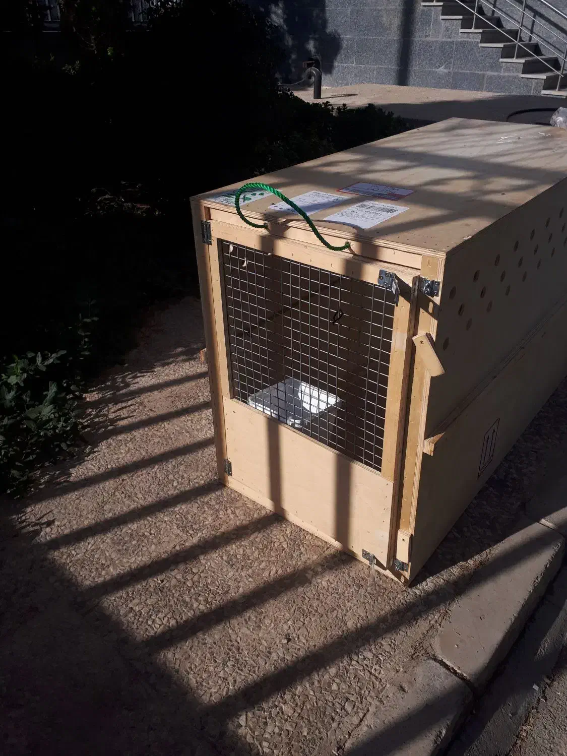 قفس چوبی یک|لوازم جانبی حیوانات|رباطکریم, رباطکریم|دیوار