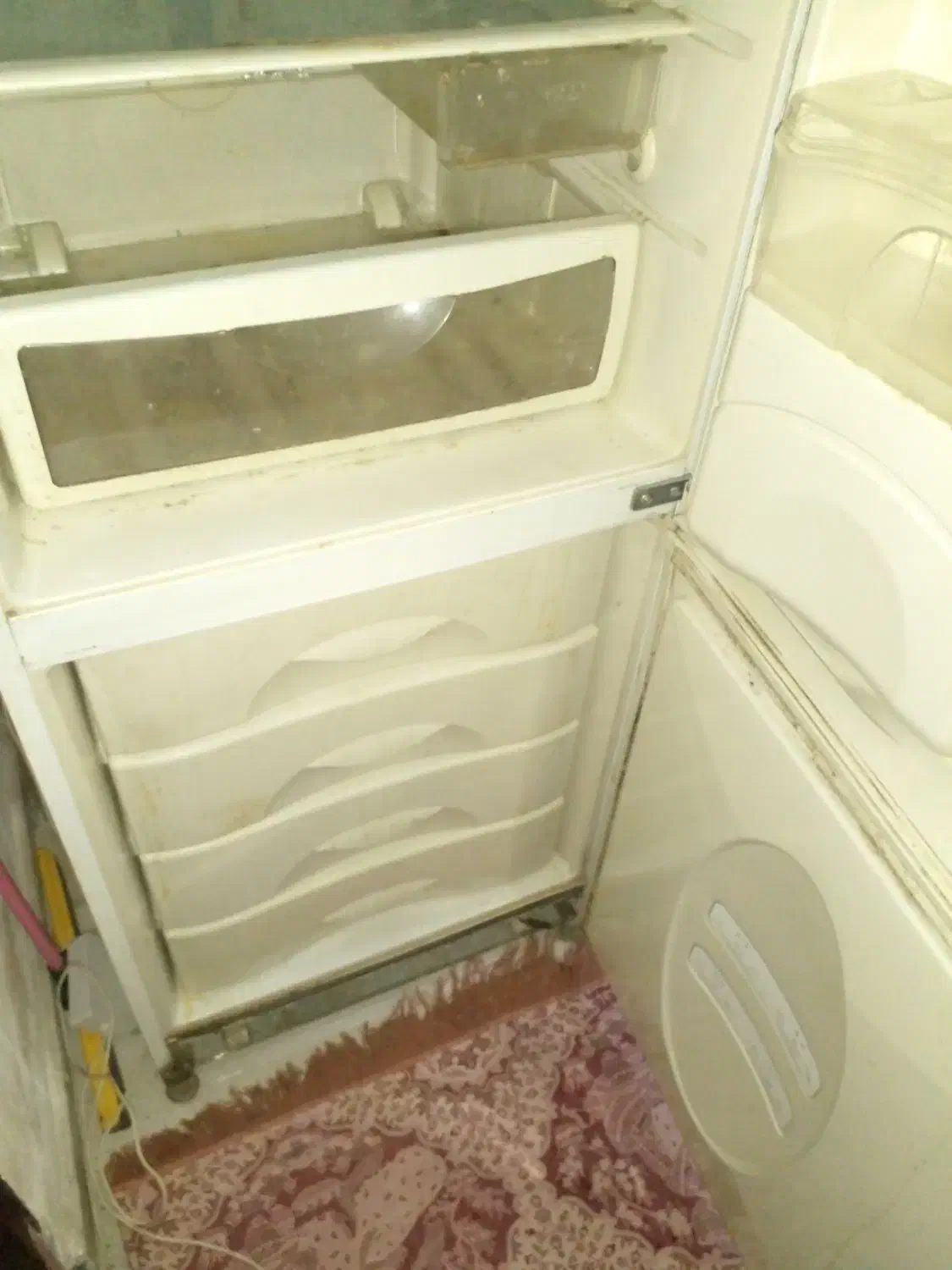 یخچال دودر سالم اسنوا|یخچال و فریزر|رشت, دروازه لاکان|دیوار