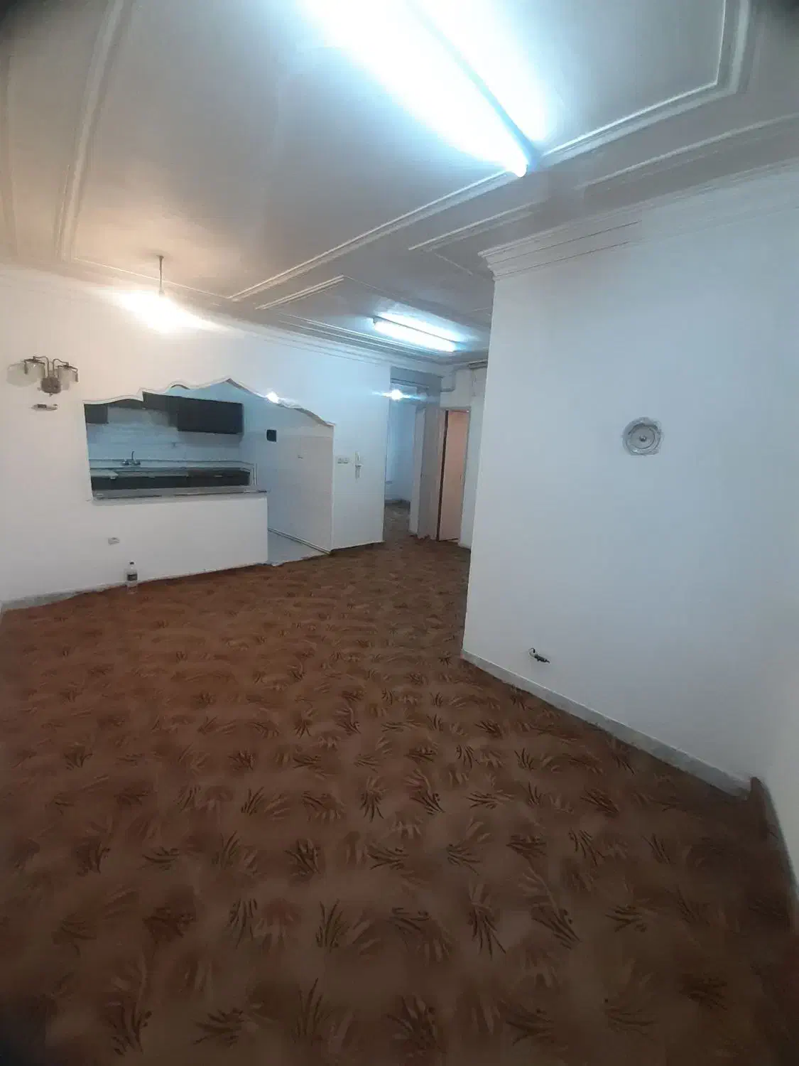 رهن کرسی بلند یک خوابه با کولر در فلسطین|اجارهٔ آپارتمان|رشت, فلسطین|دیوار