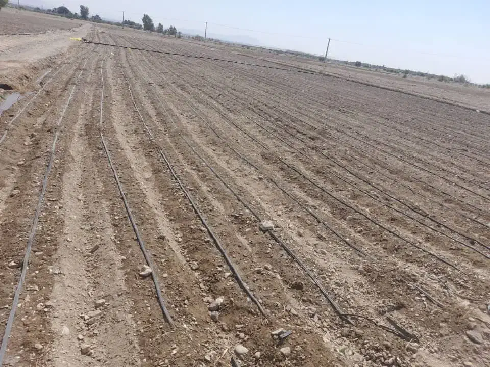 نوار آبیاری(مالچ)|عمدهفروشی|لار, |دیوار