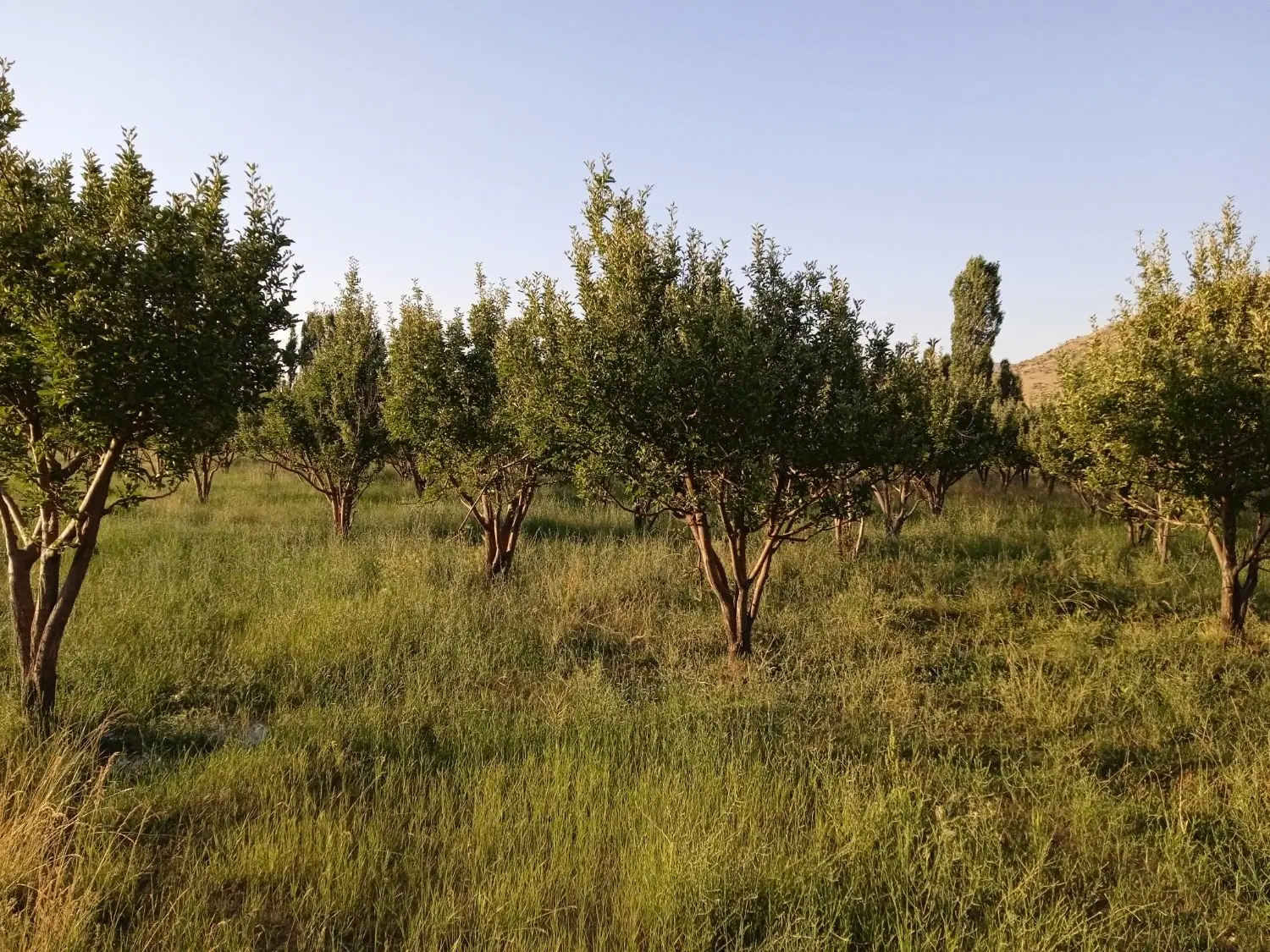 تصویر 9
