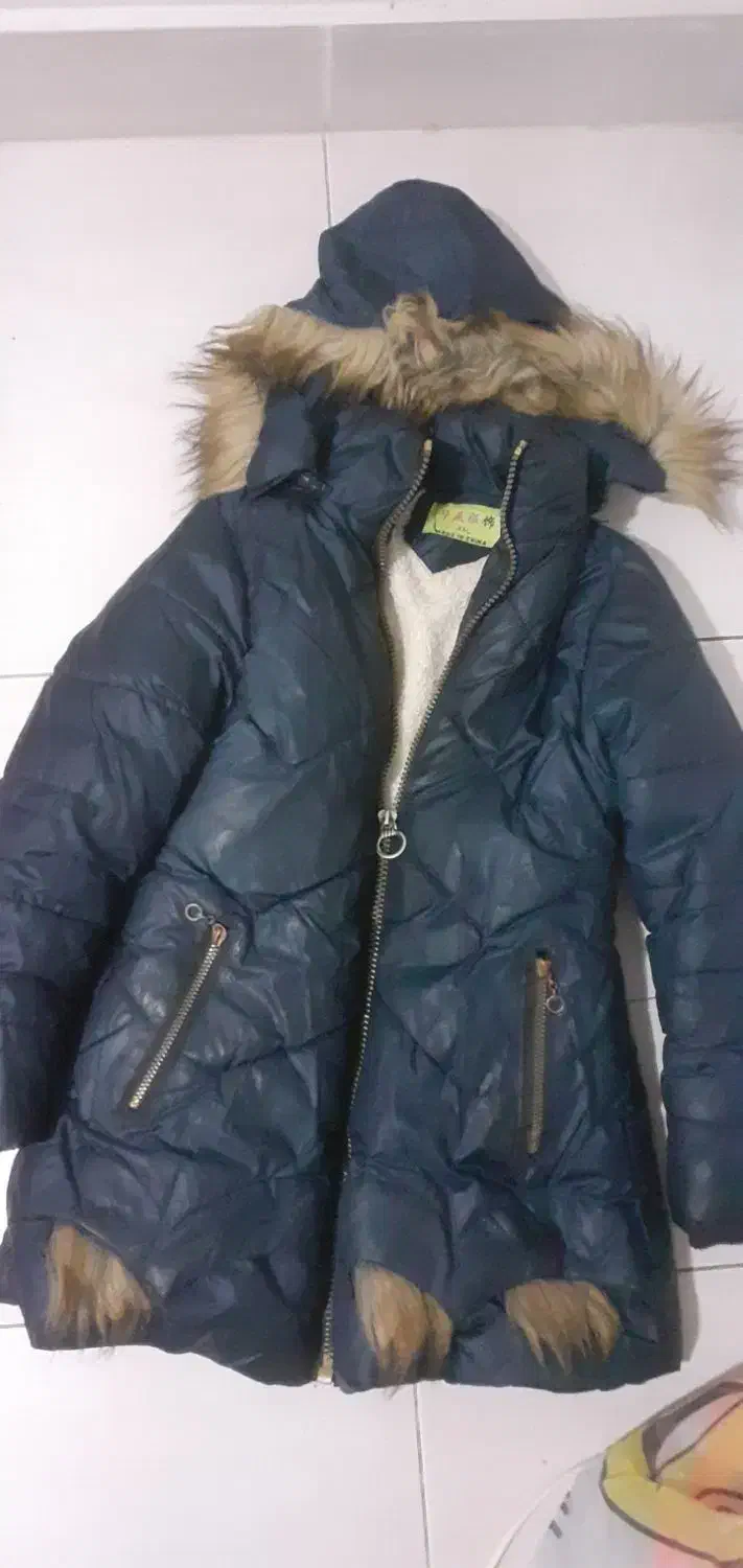 کاپشن سرمه ای|لباس|رشت, نظری|دیوار