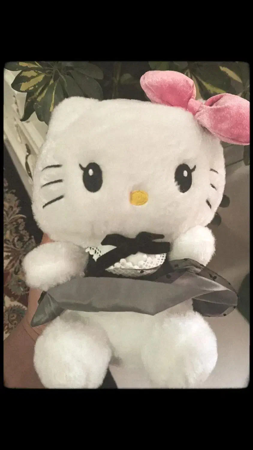 عروسک کیتی|اسباببازی|نیشابور, گنبد سبز|دیوار