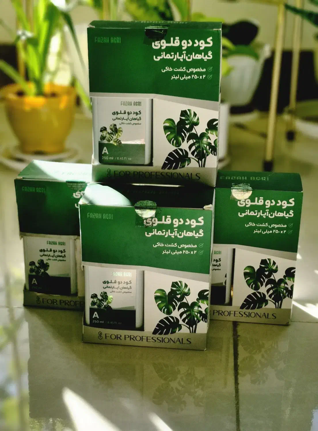 بهترین وجامع ترین کود برای گیاهان آپارتمانی|گل و گیاه طبیعی|ورامین, ورامین|دیوار