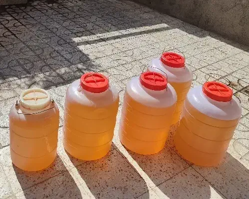 عسل بهاره درجه یک|خوردنی و آشامیدنی|تربت‌حیدریه, شهرک ولیعصر|دیوار