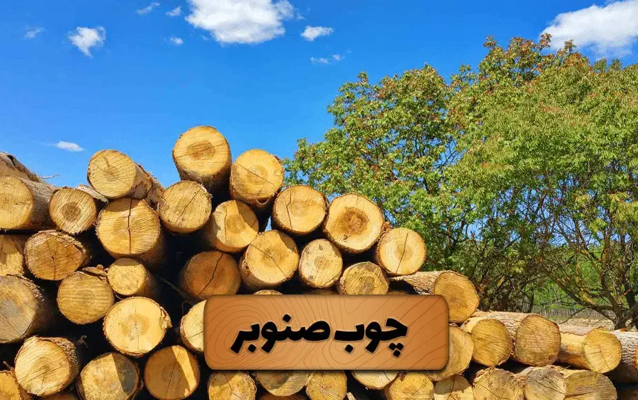 خرید چوب صنوبر ۴متری صاف با قطر ۱۵سانت به بالا|خدمات باغبانی و درختکاری|اصفهان, رزمندگان|دیوار