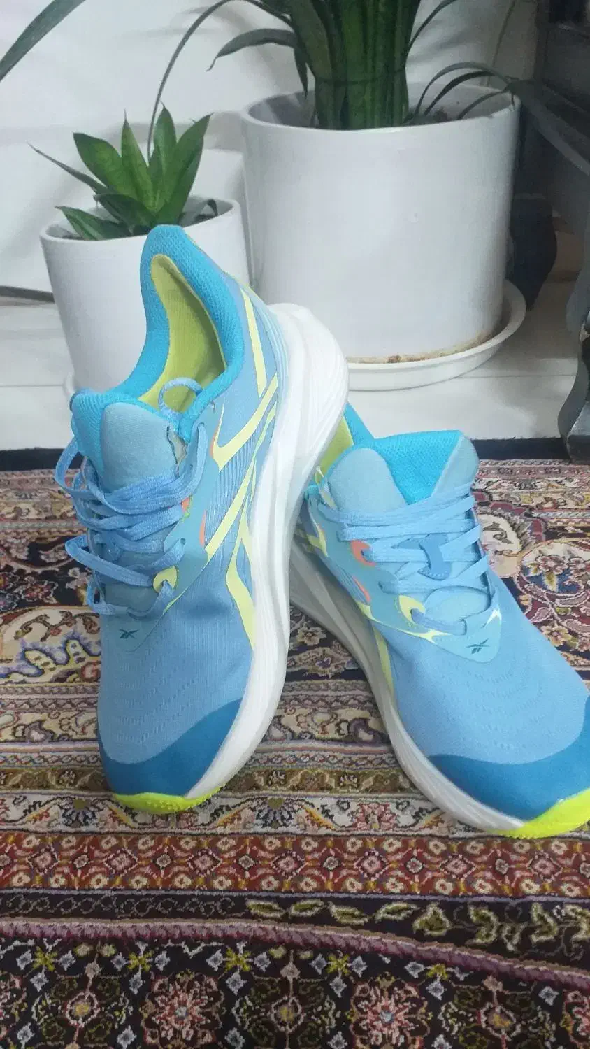 ویتنام اصلی برندریباک|کیف، کفش، کمربند|اصفهان, خرم|دیوار