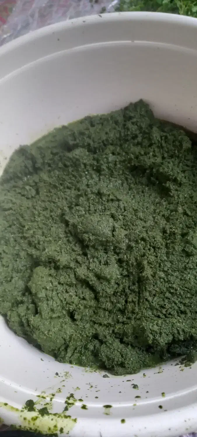 ترش واش باغ چای وسبزی خورد شده|حراج|لنگرود, |دیوار