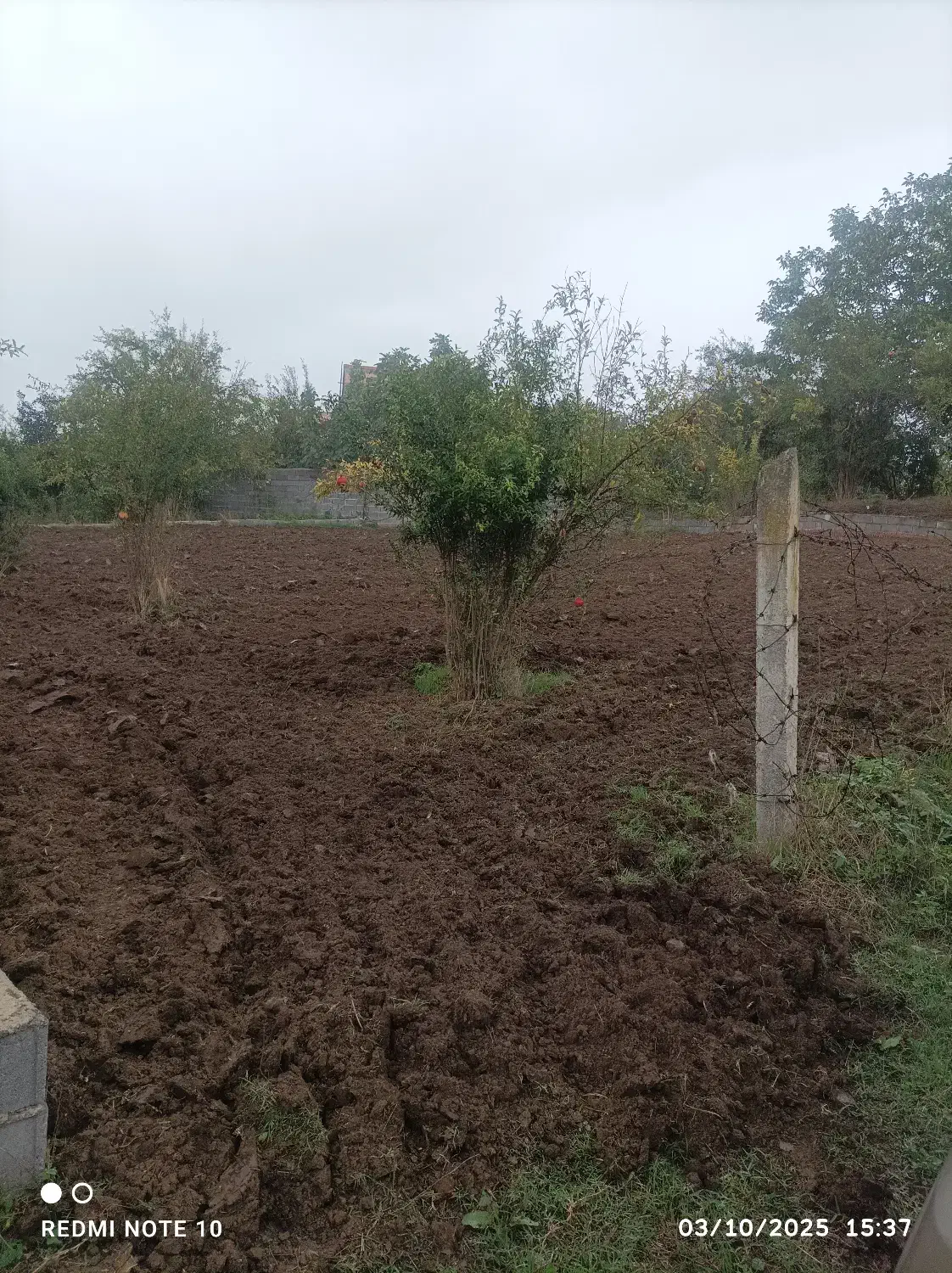 فروش فوقالعاده|فروش زمین و ملک کلنگی|خلیل شهر, |دیوار