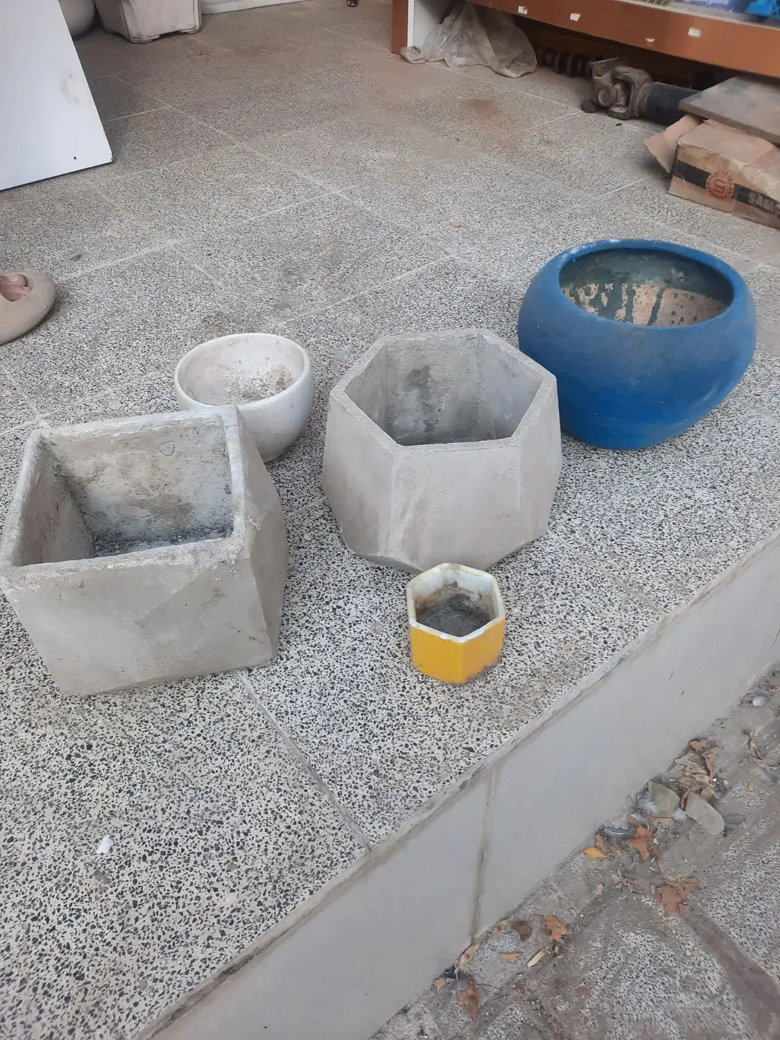 گلدان|گل و گیاه طبیعی|مشهد, اقبال|دیوار