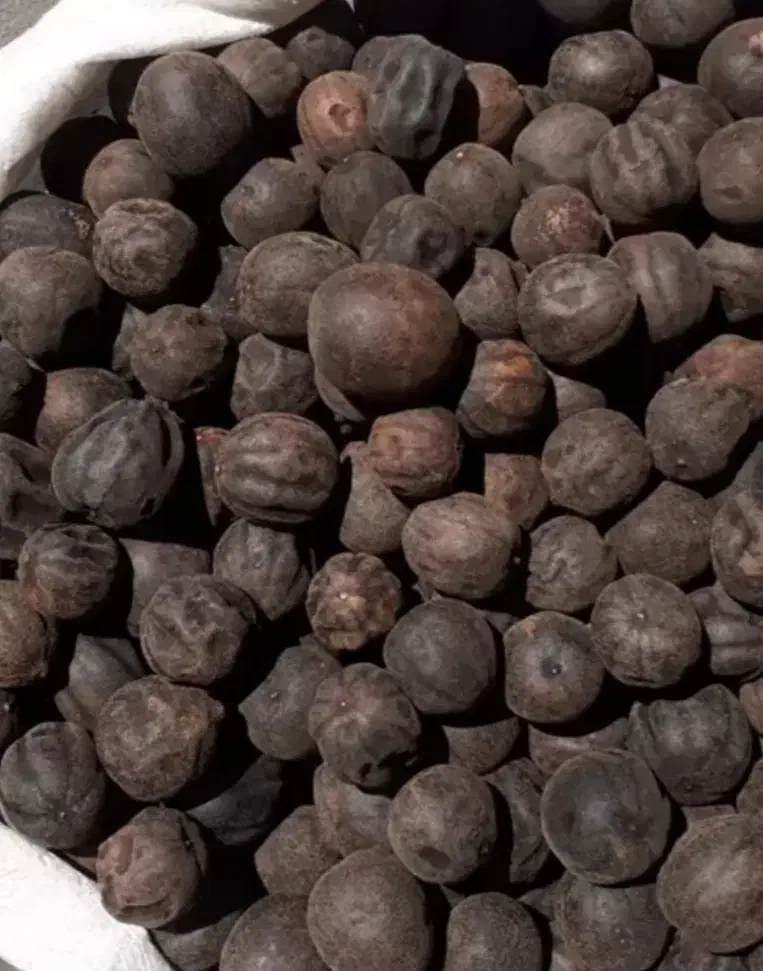 لیمو امانی امسالی تازه|عمدهفروشی|اوز, |دیوار