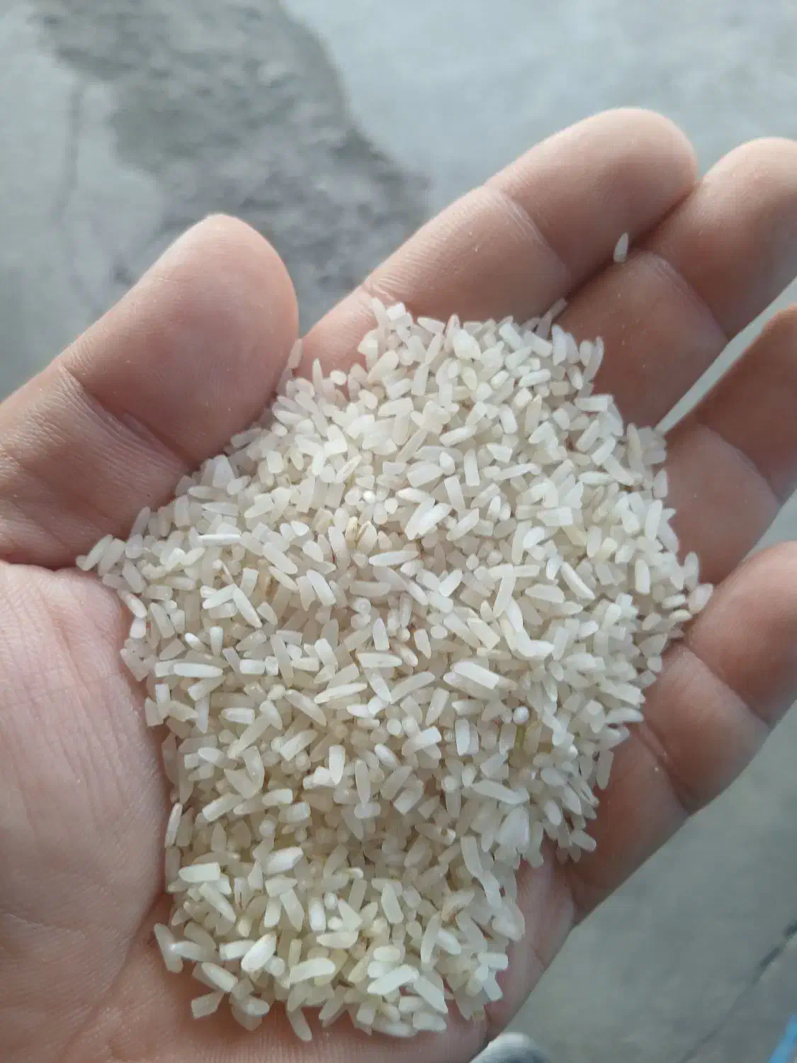 سرلاشه برنج پاکستانی|خوردنی و آشامیدنی|بابل, |دیوار