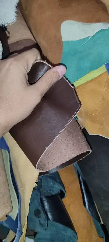 چرم طبیعی|کیف، کفش، کمربند|بندرعباس, |دیوار