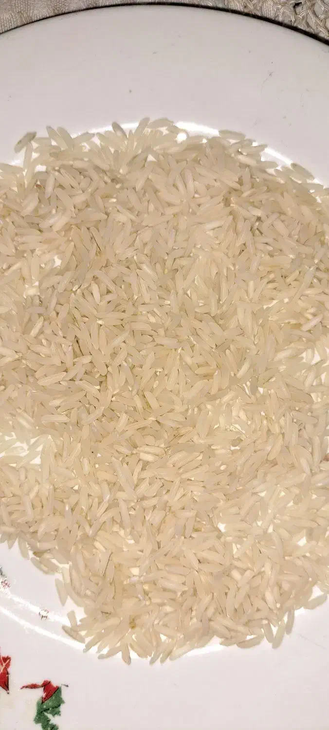 برنج هاشمی|خوردنی و آشامیدنی|رشت, آب و برق|دیوار