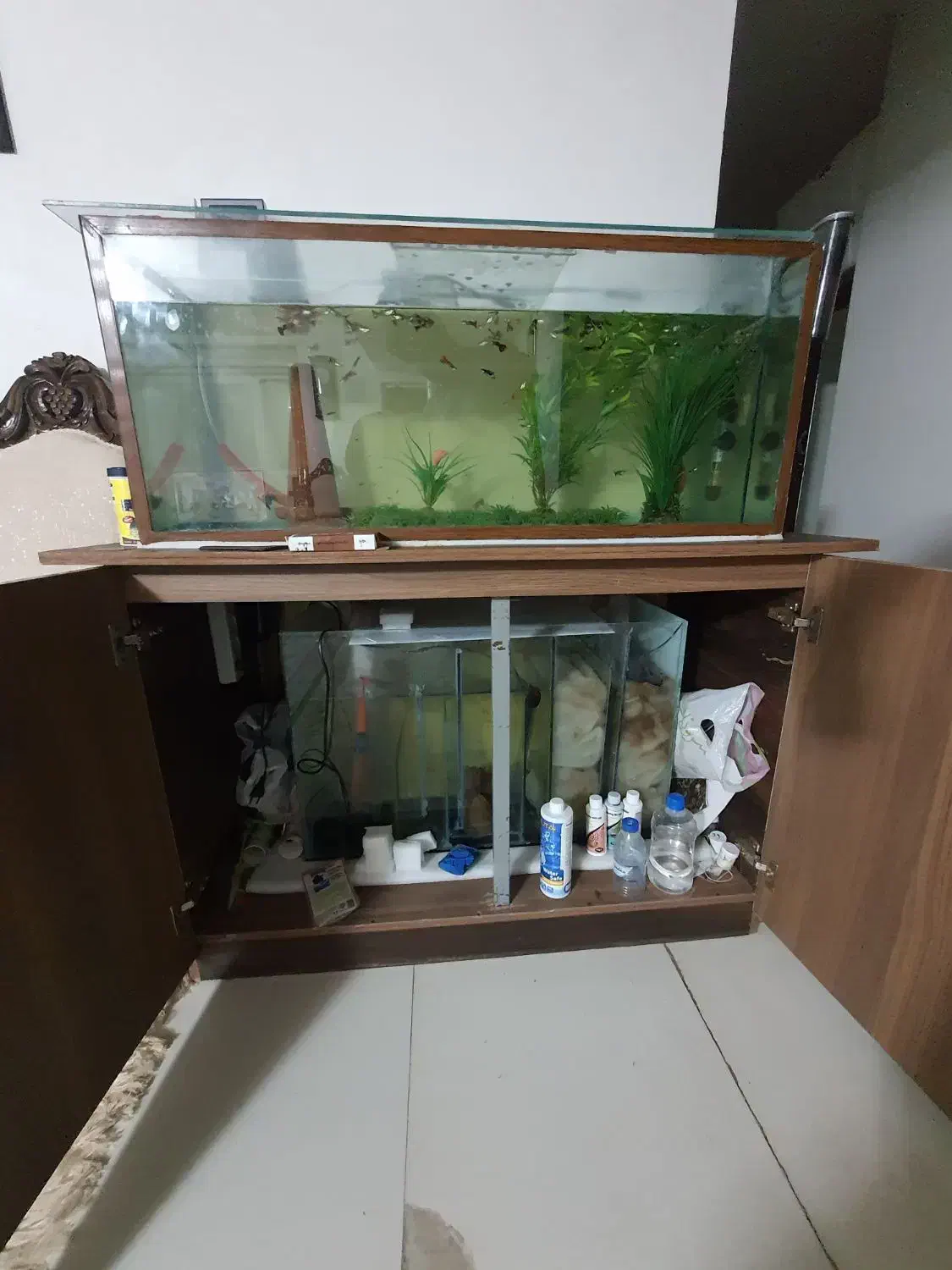 اکواریوم ۱ متری به همراه ماهی گوپی و لوازم|ماهی|شیراز, میانرود|دیوار