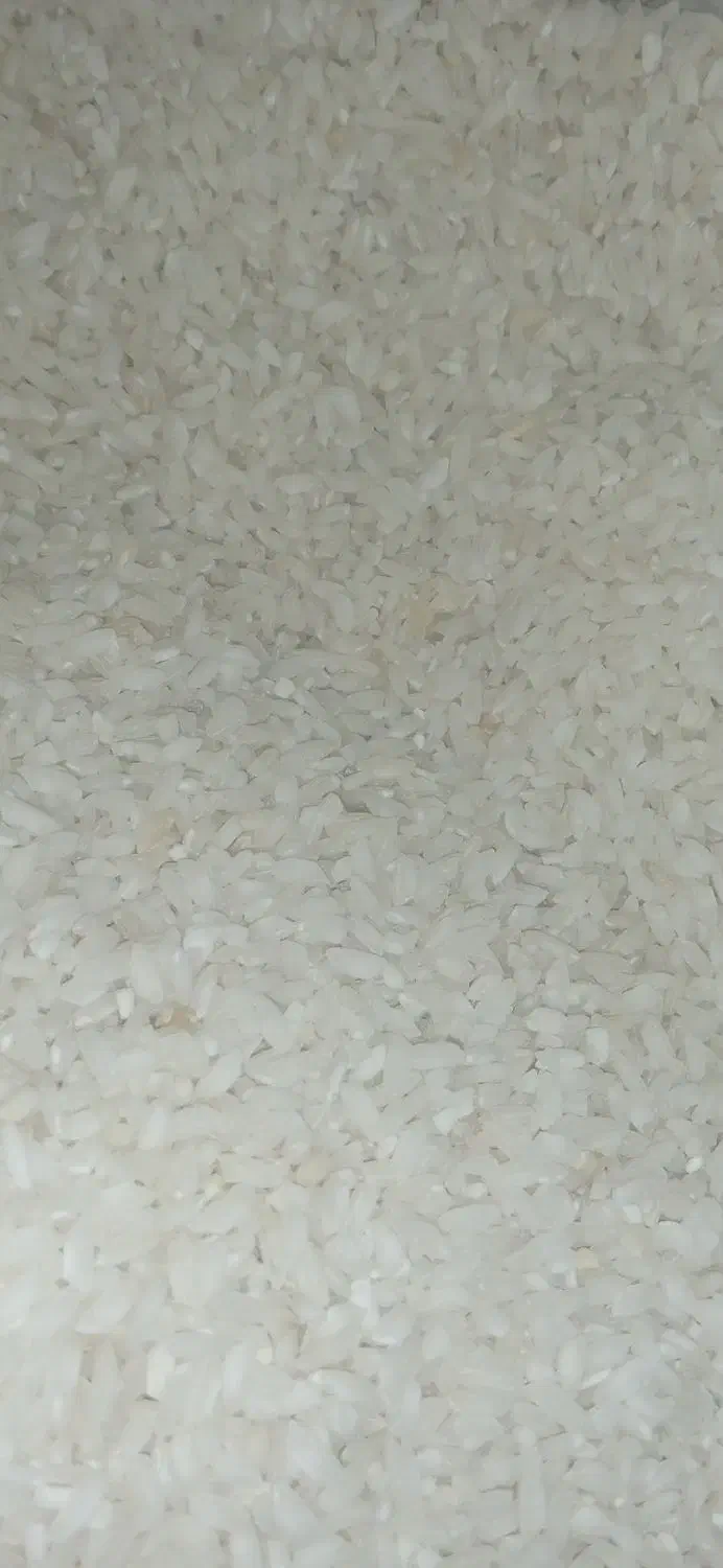 برنج عنبربو ایرندگان تازه و خوشعطر|خوردنی و آشامیدنی|ایرانشهر, |دیوار