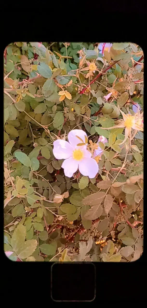 کار درمنزل از 11 سال|استخدام رایانه و فناوری اطلاعات|یزد, |دیوار