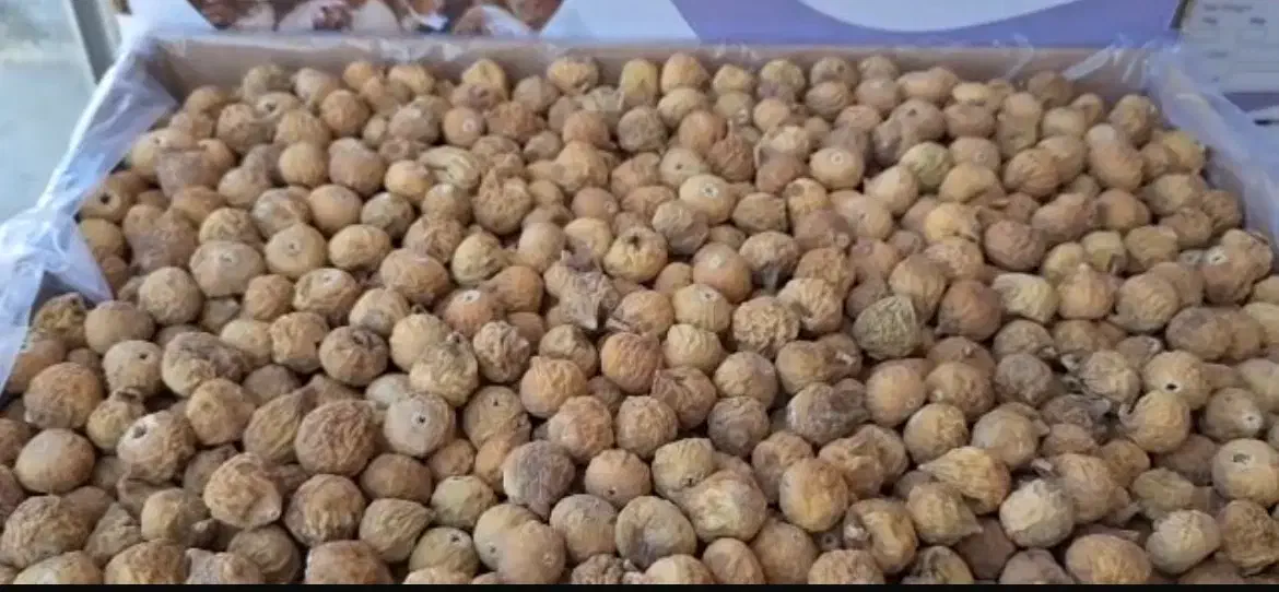 انجیر(خرید مستقیم از باغدار)|خوردنی و آشامیدنی|اصفهان, جلفا|دیوار
