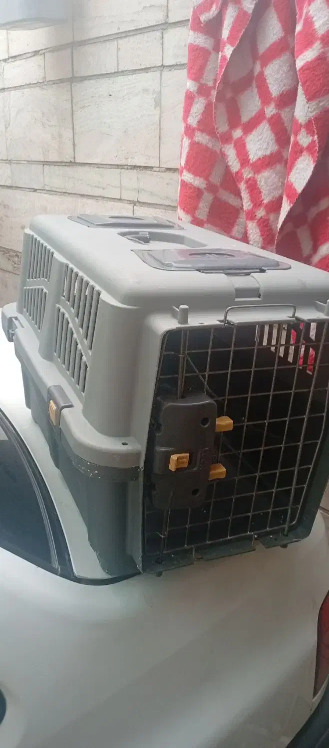 جایه گربه و سگ|لوازم جانبی حیوانات|شیراز, شیخ علی چوپان|دیوار