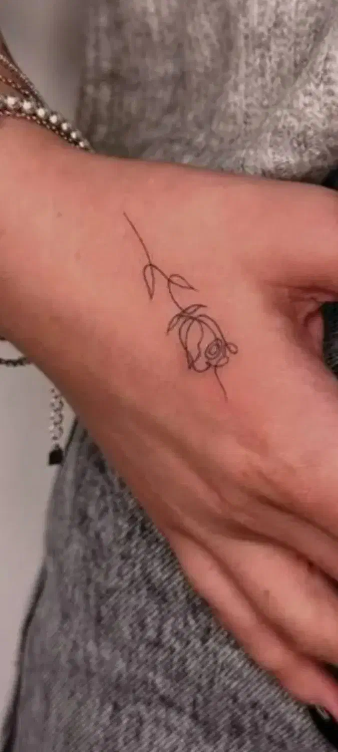 تخفیف لاین تتو بدن وآرایش دائم|خدمات آرایشگری و زیبایی|مرند, |دیوار