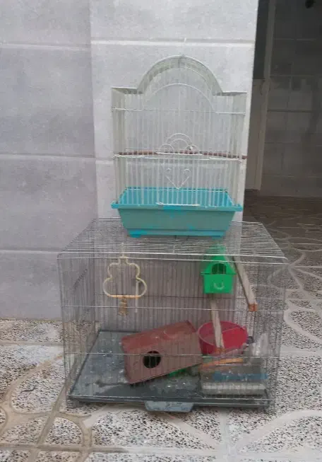 قفس پرنده|لوازم جانبی حیوانات|باغستان, |دیوار