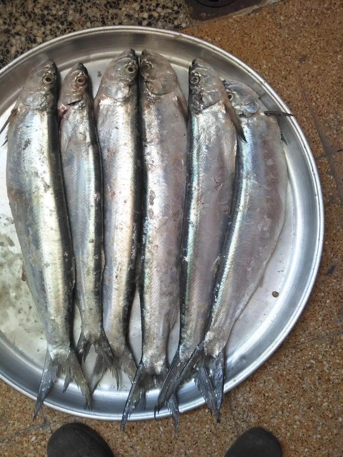 خارو|ماهی|آبادان, |دیوار