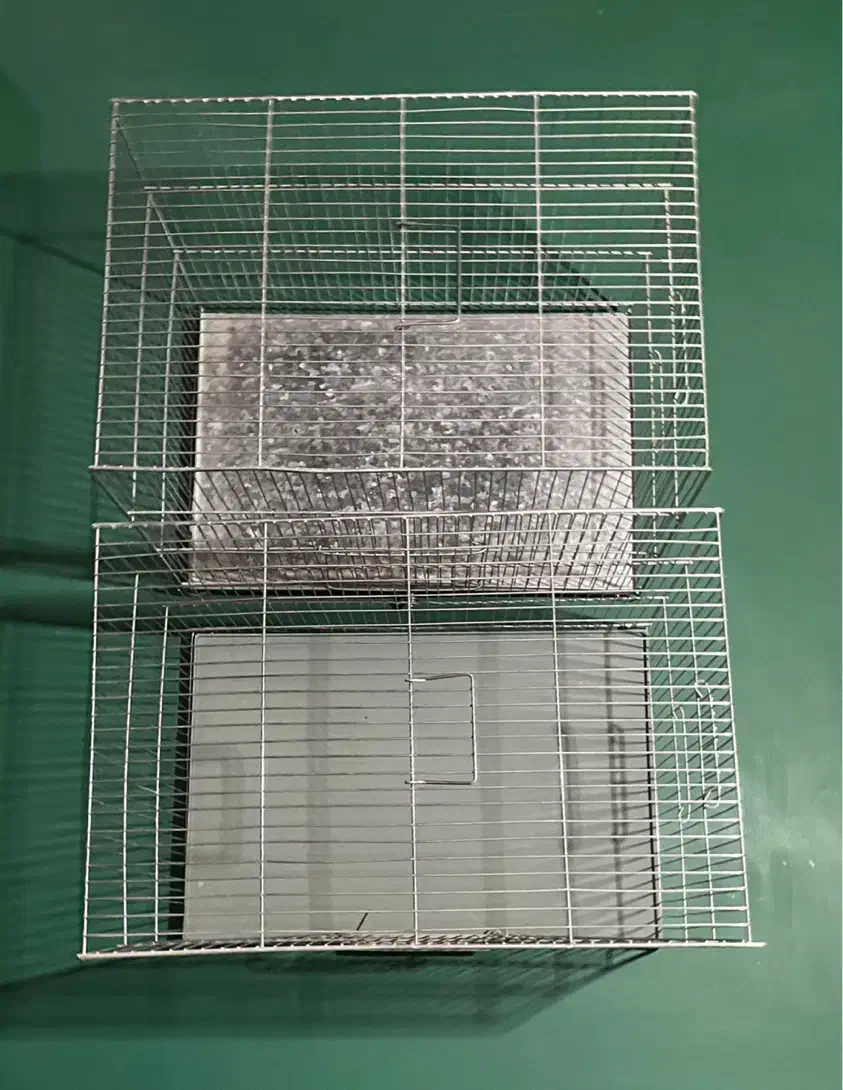 قفس پرنده و لوازم مربوط|لوازم جانبی حیوانات|محلات, |دیوار