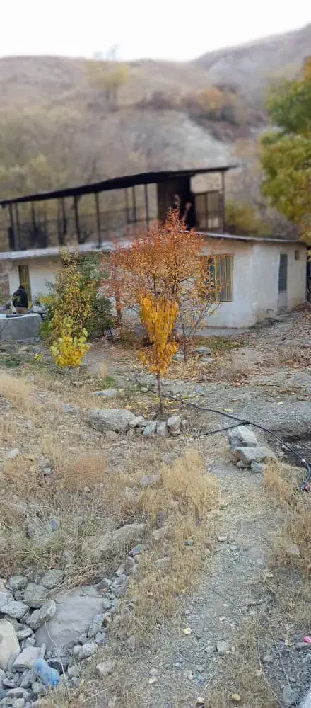 ۲۵۰ متر زمین همراه با ویلا جاده چالوس|فروش خانه و ویلا|آسارا, |دیوار