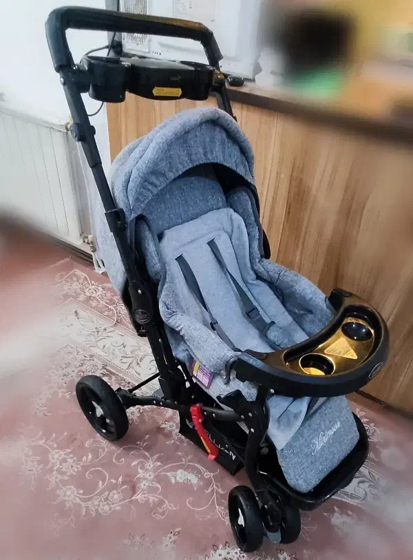 کالسکه دلیجان مدل بنیتا|کالسکه و لوازم جانبی|پرند, فاز ۵|دیوار