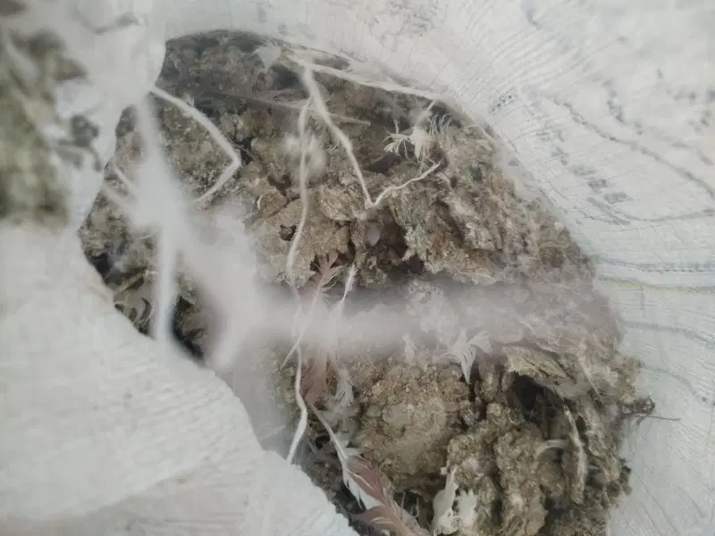 کود کفتر|لوازم جانبی حیوانات|تهران, مسعودیه|دیوار