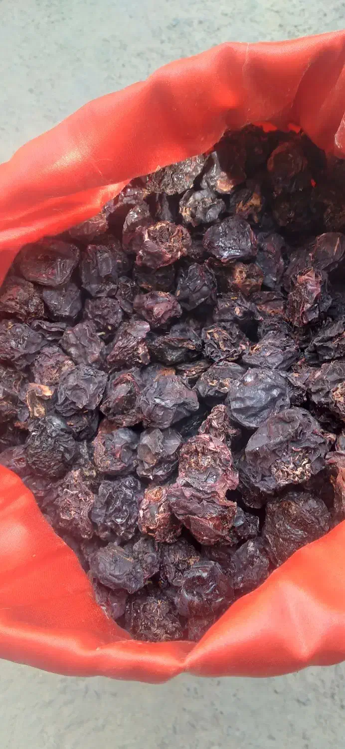 الو سیاه|خوردنی و آشامیدنی|محمدبار, |دیوار