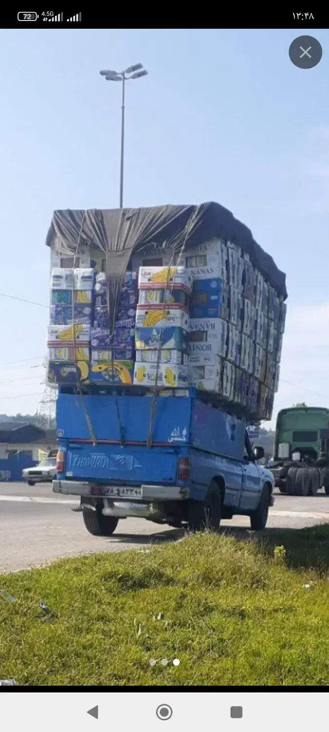 کارتون موزی برای اساس کشی صادرات|عمدهفروشی|اردبیل, |دیوار