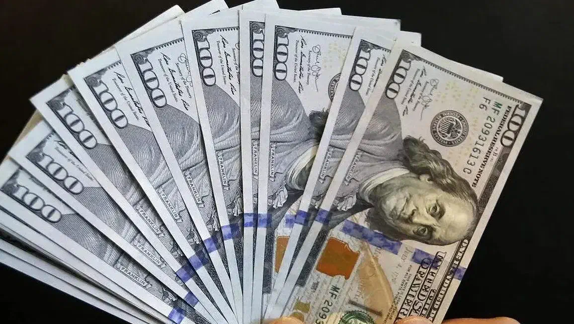 کسب درآمد دلاری رایگان|فعالیت داوطلبانه|خوی, |دیوار